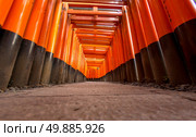 Thousands of vermilion torii gates at Fushimi Inari Taisha Shrine in Kyoto, Japan. Стоковое фото, агентство Ingram Publishing / Фотобанк Лори