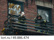 Two firemen wearing protective gear are standing on a balcony with their two dogs. They are looking outwards, appearing prepared for duty. Стоковое AI-изображение, AI-художник Данила Большаков / Фотобанк Лори