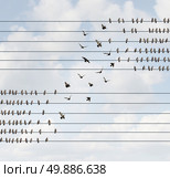 Change concept and changing team and allegiance symbol as a group of birds on a wire making a shift to a higher level as a business metaphor for restructuring or reorganization of a corporation or social political shift of opinion. Стоковое фото, агентство Ingram Publishing / Фотобанк Лори