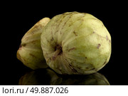 Custard apple, also known as Bullocks or Bulls Heart.On black with reflection. Стоковое фото, агентство Ingram Publishing / Фотобанк Лори
