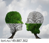Complement each other concept as two trees with half of the tree with full leaves and the other with none as a business or life metaphor for synergy and alliance with an equal partnership with common interests. Стоковое фото, агентство Ingram Publishing / Фотобанк Лори