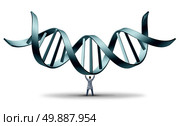 DNA doctor geneticist holding up a double helix as a medical science symbol for the profession of genetic engineering scientist on a white background. Стоковое фото, агентство Ingram Publishing / Фотобанк Лори