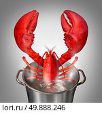Lobster in a pot as a fresh catch of the day cooked red crustacean sticking out of a cooking kettle with boiling water as a seafood symbol and fine dinning restaurant meal. Стоковое фото, агентство Ingram Publishing / Фотобанк Лори