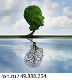 Hidden depression concept and private feelings symbol as a tree with leaves shaped as a human head with a reflection on water with an empty plant as an internal psychology idea for visualizing concealed emotions. Стоковое фото, агентство Ingram Publishing / Фотобанк Лори