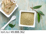 bay leaf. Стоковое фото, агентство Ingram Publishing / Фотобанк Лори