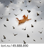 Seize the opportunity concept as a leaping cat jumping high up in the sky to catch flying birds as a business skill metaphor for being prepared for taking advantage of favorable market conditions. Стоковое фото, агентство Ingram Publishing / Фотобанк Лори