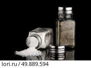 Salt and oregano shakers on black Background. Стоковое фото, агентство Ingram Publishing / Фотобанк Лори