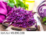 scotch kale. Стоковое фото, агентство Ingram Publishing / Фотобанк Лори