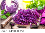 scotch kale. Стоковое фото, агентство Ingram Publishing / Фотобанк Лори