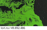 Vivid green patterns and dynamic slime movement over black canvas. Стоковое AI-видео, аниматор Владимир Федоров / Фотобанк Лори