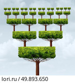 Franchise business concept and expanding business pyramid success tree as a franchising increase or franchisee growth structure symbol in a 3D illustration style. Стоковое фото, агентство Ingram Publishing / Фотобанк Лори