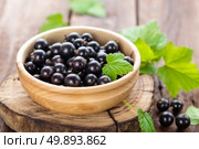 black currant. Стоковое фото, агентство Ingram Publishing / Фотобанк Лори