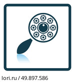 Beanbag icon. Shadow reflection design. Vector illustration. Стоковая иллюстрация, агентство Ingram Publishing / Фотобанк Лори