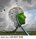 Reverse aging process and make young again medical concept or plastic surgery symbol as a wiper wiping away old decaying tree and revealing to a healthy green human head plant with leaves as a medical metaphor for renewal with 3D illustration elements. Стоковое фото, агентство Ingram Publishing / Фотобанк Лори