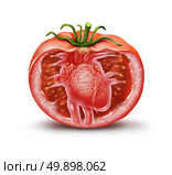 Tomato heart health medical icon as a fruit and vegetable healthcare symbol for natural antioxidant and cardiovascular nutrition supplement to help prevent heart attacks and strokes rich in lycopene and carotenoids in a 3D illustration style. Стоковое фото, агентство Ingram Publishing / Фотобанк Лори