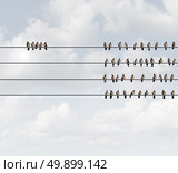 Excluded group business concept as birds on a wire with a small team perched away and apart from the majority as a social metaphor for exclusion or discrimination with 3D illustration elements. Стоковое фото, агентство Ingram Publishing / Фотобанк Лори
