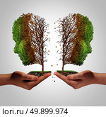 Relationship failure as a breakup concept and a damaging separation and painful divorce psychology idea as a divided sick tree shaped as two hurting people held by human hands as a metaphor for separation with 3D illustration elements. Стоковое фото, агентство Ingram Publishing / Фотобанк Лори