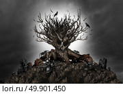 Halloween haunted creepy tree night background as an old growth plant shaped as a monster skull with pumpkins and spiders as a scary autumn scenery as a horror theme with 3D illustration elements. Стоковое фото, агентство Ingram Publishing / Фотобанк Лори
