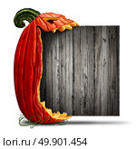 Jack O Lantern Halloween blank sign as a side view pumpkin character biting into an old wood banner as an advertising and seasonal marketing message with a scary expression on a white background with 3D illustration elements. Стоковое фото, агентство Ingram Publishing / Фотобанк Лори