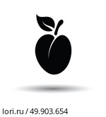 Plum icon. White background with shadow design. Vector illustration. Стоковая иллюстрация, агентство Ingram Publishing / Фотобанк Лори