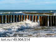 View of the Baltic Sea and wooden breakwaters of the city beach on a sunny summer day, Svetlogorsk, Kaliningrad region, Russia. Стоковое фото, фотограф Ula Ulachka / Фотобанк Лори