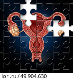Fertility challenge and infertility medical symbol as an incomplete puzzle with an image of a uterus with fallopian tubes as a gynecology icon for problems in female reproduction in a 3D illustration style. Стоковое фото, агентство Ingram Publishing / Фотобанк Лори