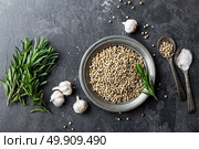 Rosemary, garlic, salt and white pepper, culinary background with various spices, directly above, flat lay, copy space. Стоковое фото, агентство Ingram Publishing / Фотобанк Лори