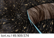 Removing lice as a medical concept with louse insects on human hair as an infestation of parasitic nits or eggs hatching with a wiper wiping away the parasites with 3D illustration elements. Стоковое фото, агентство Ingram Publishing / Фотобанк Лори