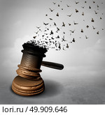 Amnesty concept and law decline or symbol for a legal pardon as a judge gavel or mallet being transformed into free flying birds as a justice metaphor for clemency or injustice and liberty as a 3D illiustration. Стоковое фото, агентство Ingram Publishing / Фотобанк Лори