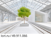Modern greenhouse interior showcasing solitary tree with skylights and white architecture. Стоковое AI-изображение, AI-художник Мария Фадеева / Фотобанк Лори