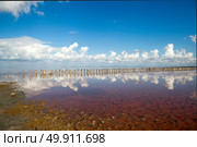 Столбы-сваи розового, солёного озера Сасык-Сиваш. Крым. Стоковое фото, фотограф Сергей Афанасьев / Фотобанк Лори