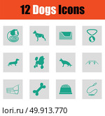 Dogs icon set. Dogs icon set. Green on gray design. Vector illustration. Стоковая иллюстрация, агентство Ingram Publishing / Фотобанк Лори