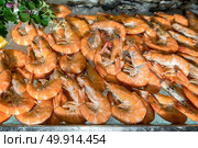 Freshly cooked prawns - shrimp on ice. Стоковое фото, агентство Ingram Publishing / Фотобанк Лори