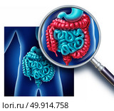 Colon and large bowel pain and intestine Illustration as a digestive system organ and digestion body part inflammation concept with rectum and anus as a medical symptom and diagnosis symbol as a 3D illustration. Стоковое фото, агентство Ingram Publishing / Фотобанк Лори
