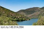 Point of view shot from historic train in Douro region, Portugal. Features a wide view of terraced vineyards in Douro Valley, Alto Douro Wine Region in northern Portugal, officially designated by UNESCO as World Heritage Site. Стоковое фото, агентство Ingram Publishing / Фотобанк Лори