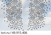 Divided opinion and social division or divided crowd thinking concept as two groups of birds flying in oppositte directions in a 3D illustration style. Стоковое фото, агентство Ingram Publishing / Фотобанк Лори
