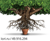 Limited resources business and economy concept as huge tree and roots trying to get nutrients from a small plant pot as a scarcity metaphor with 3D illustration elements. Стоковое фото, агентство Ingram Publishing / Фотобанк Лори