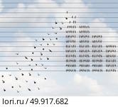 Growing membership and recruiting a large subscription team as new members joining together as birds on a wire with a group of increasing recruits adding to the organization with 3D illustration elements. Стоковое фото, агентство Ingram Publishing / Фотобанк Лори
