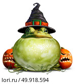 Halloween frog with autumn jackolantern pumpkins on a white background. Стоковое фото, агентство Ingram Publishing / Фотобанк Лори