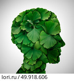 Ginkgo Biloba leaf head as a herbal medicine concept and natural phytotherapy medication symbol for healing as leaves shaped as a human. Стоковое фото, агентство Ingram Publishing / Фотобанк Лори