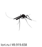 Mosquito icon . Стоковая иллюстрация, агентство Ingram Publishing / Фотобанк Лори