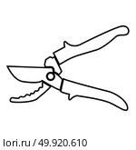 Secateur icon . Стоковая иллюстрация, агентство Ingram Publishing / Фотобанк Лори