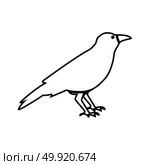Crow black icon . Стоковая иллюстрация, агентство Ingram Publishing / Фотобанк Лори
