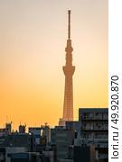 Tokyo Skytree with skyline building sunrise Ueno Japan. Стоковое фото, агентство Ingram Publishing / Фотобанк Лори