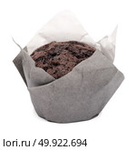 Closeup of a Magdalena Typical Spanish Chocolate Muffin. Sweet Food or Dessert. One Fresh Baked Muffin Isolated on White Background in American Style. Irresistible Tasty Cake. Стоковое фото, агентство Ingram Publishing / Фотобанк Лори
