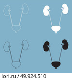 Bladder and kidney  icon .. Bladder and kidney icon . Стоковая иллюстрация, агентство Ingram Publishing / Фотобанк Лори
