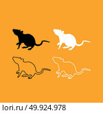 Rat icon . Стоковая иллюстрация, агентство Ingram Publishing / Фотобанк Лори