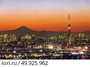 Tokyo city aerial view and mountain fuji. Стоковое фото, агентство Ingram Publishing / Фотобанк Лори