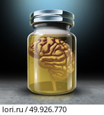 Preserve your mind and brain preservation as a medical and psychology symbol for protecting memories and preserving neurology health with 3D render illustration. Стоковое фото, агентство Ingram Publishing / Фотобанк Лори