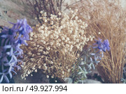 vintage Dry flowers decorated in coffee cafes. Стоковое фото, агентство Ingram Publishing / Фотобанк Лори